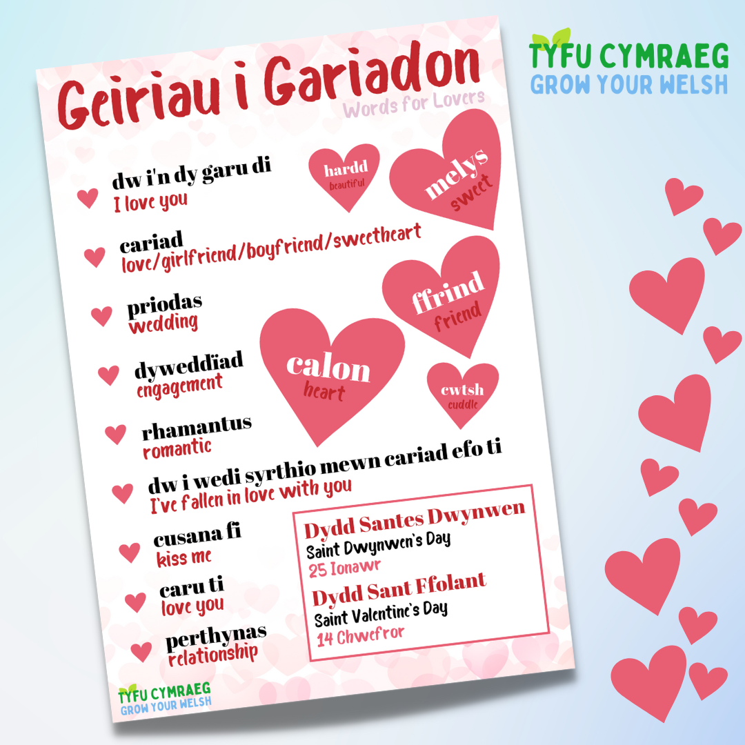 Dydd Sant Ffolant A Dydd Santes Dwynwen Learn Welsh Love Vocabulary