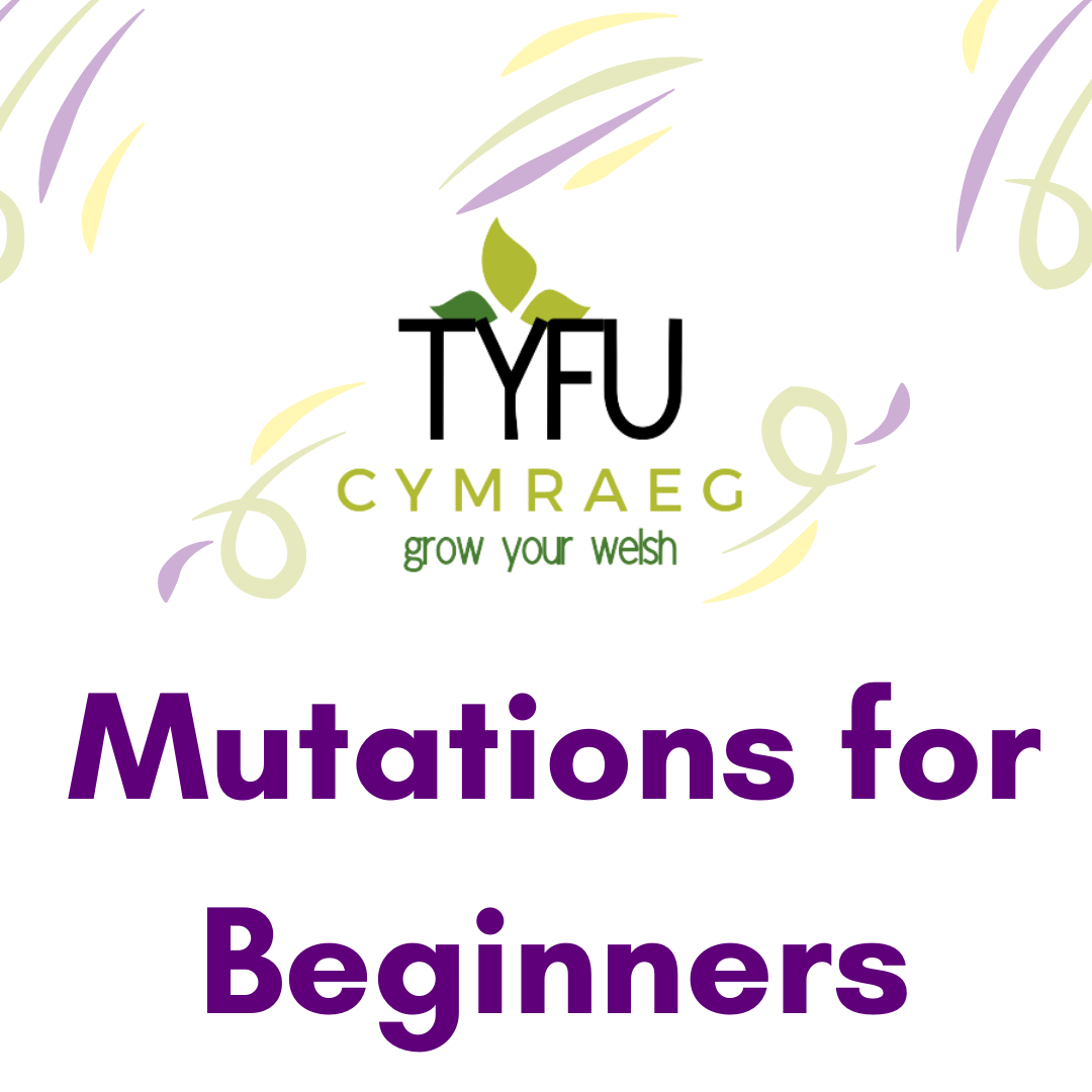 Mutations for Beginners – Treigladau i Ddechreuwyr