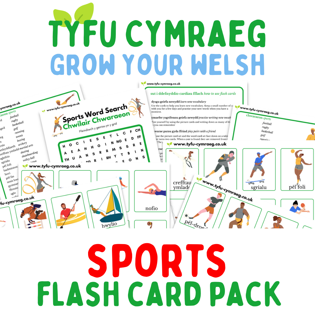 Sports Vocabulary Flashcards - National Sports Day Cards