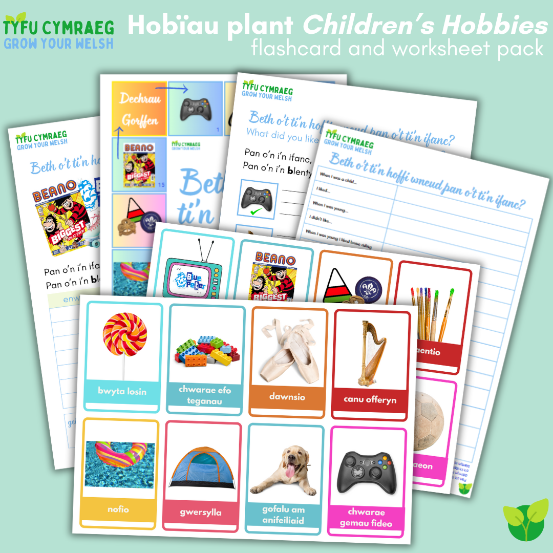 Children's Hobbies Free Welsh Flashcards & Resources! Pan o'n i'n